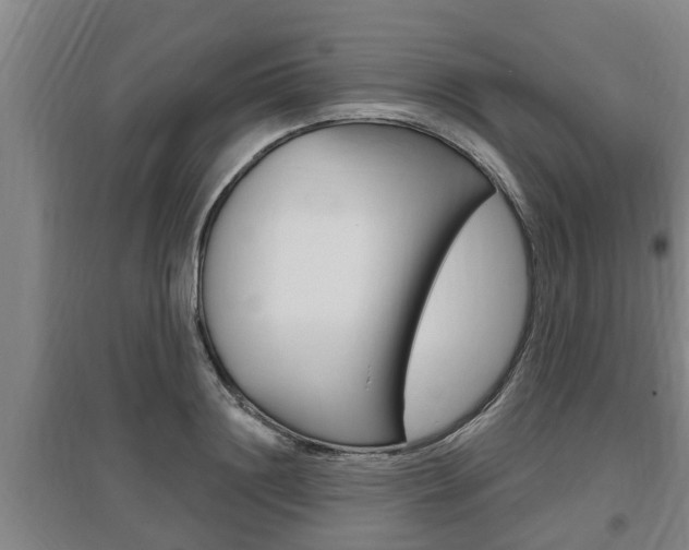 X0000095960844200801110944