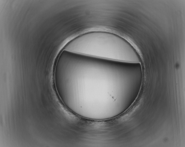 X0000095960845200801110944