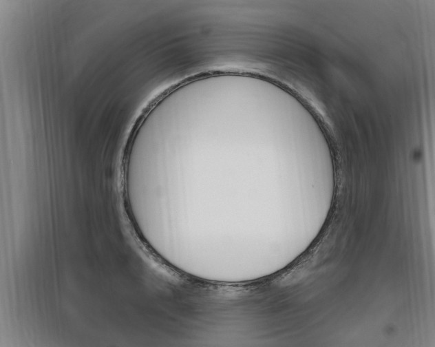 X0000095960848200801110944