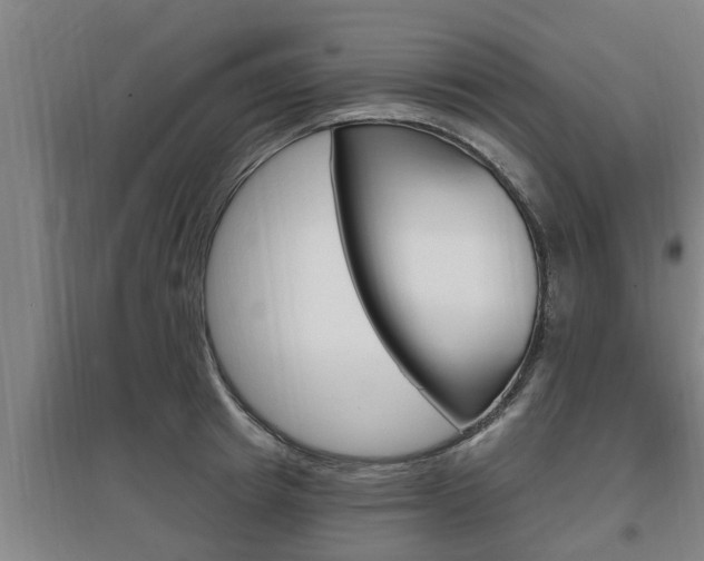 X0000095960849200801110944