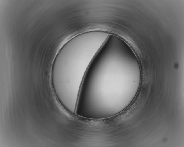 X0000095960850200801110944