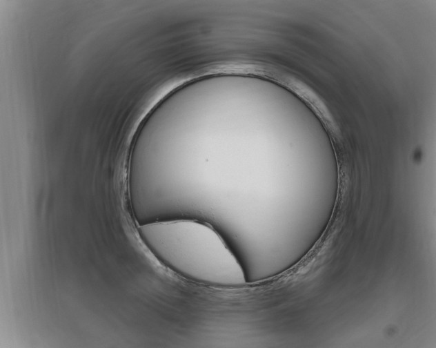 X0000095960852200801110944