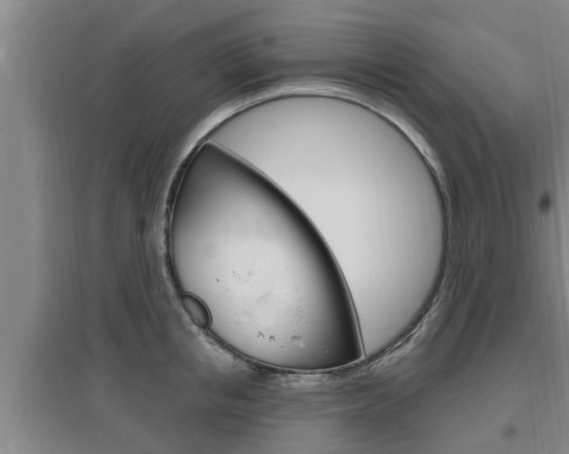 X0000095960853200801110944