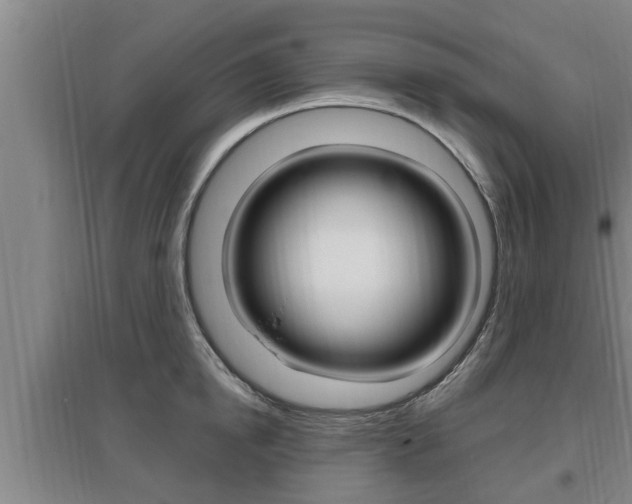 X0000095960854200801110944