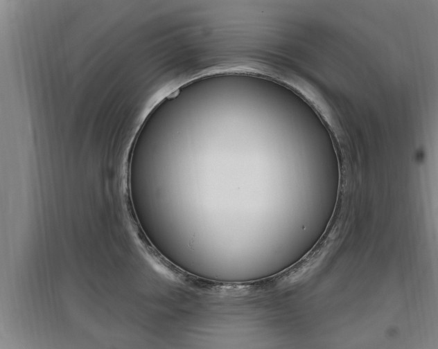 X0000095960858200801110944