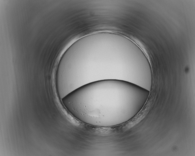 X0000095960859200801110944