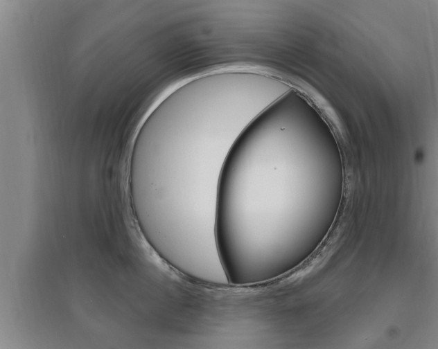 X0000095960860200801110945