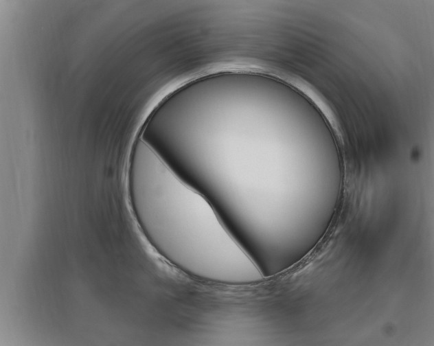 X0000095960861200801110945