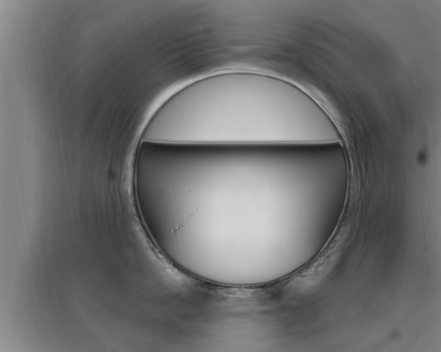 X0000095960862200801110945
