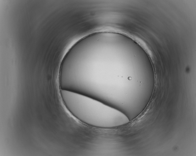 X0000095960863200801110945
