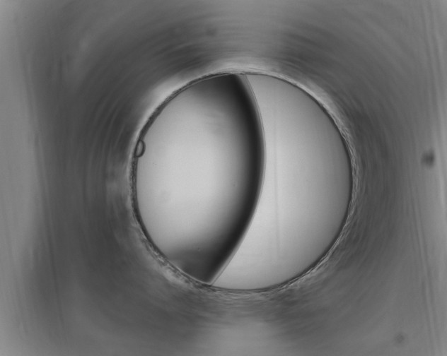 X0000095960864200801110945