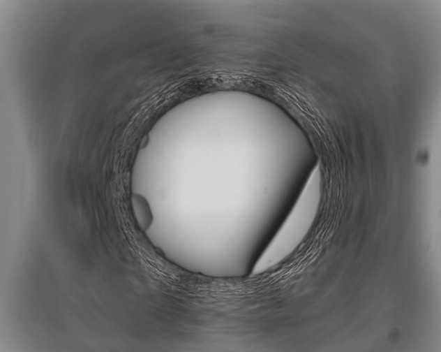 X0000095960865200801110944
