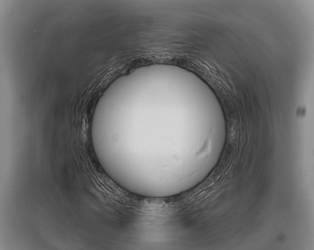 X0000095960866200801110944