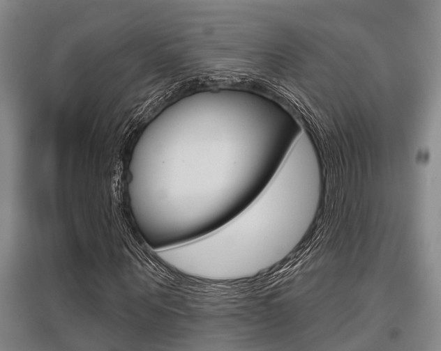 X0000095960867200801110944