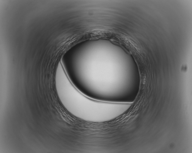 X0000095960868200801110944