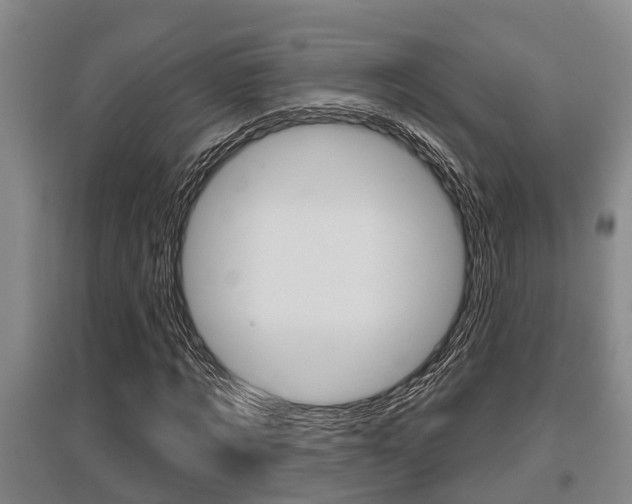 X0000095960869200801110944