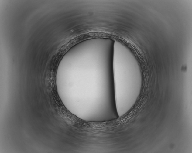X0000095960870200801110944
