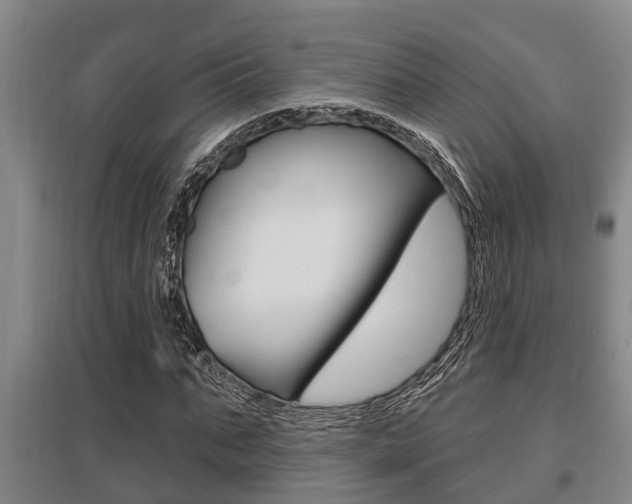 X0000095960871200801110944