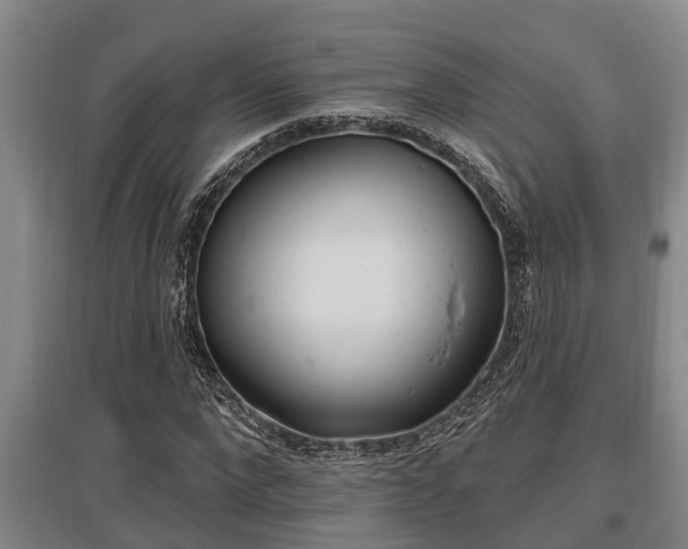 X0000095960872200801110944