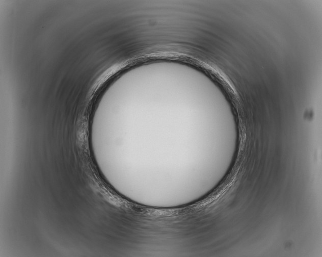 X0000095960874200801110944
