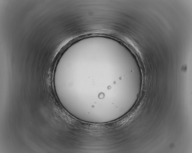 X0000095960875200801110944