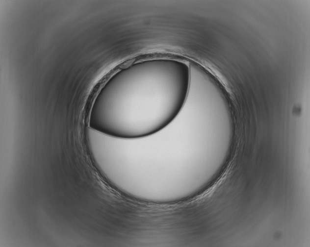X0000095960877200801110944