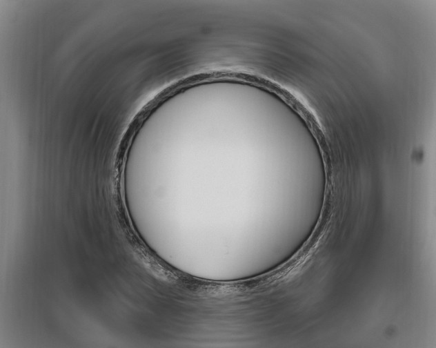 X0000095960879200801110944