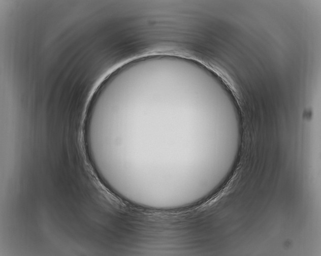 X0000095960880200801110944