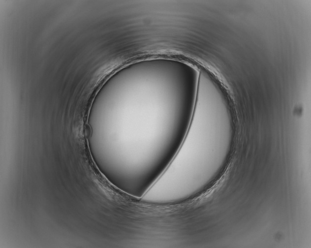 X0000095960881200801110944