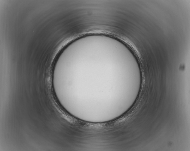 X0000095960882200801110943