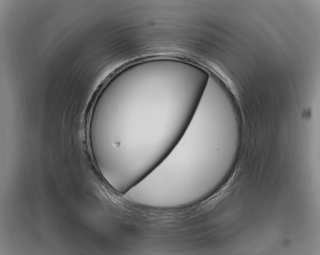 X0000095960883200801110943