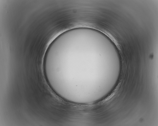 X0000095960885200801110943