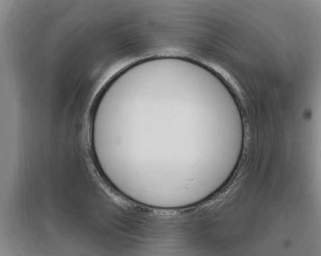 X0000095960886200801110943