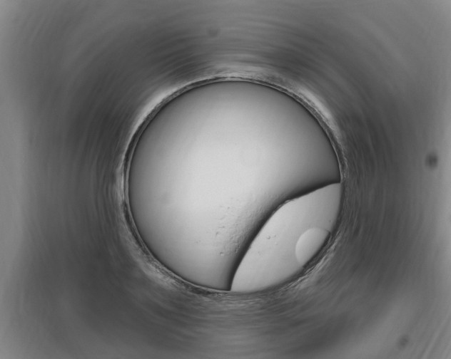 X0000095960891200801110943