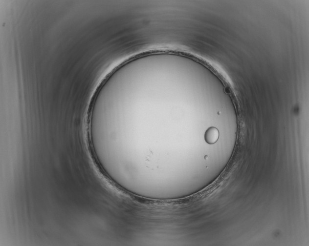 X0000095960895200801110943
