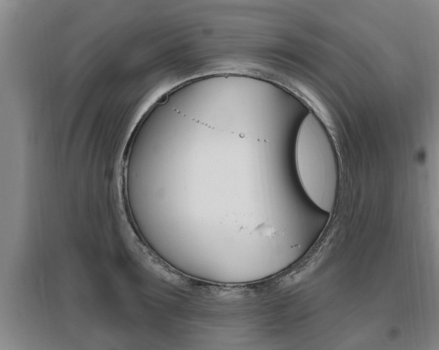 X0000095960899200801110943