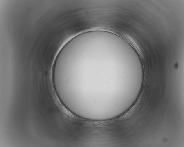 X0000095960900200801110943