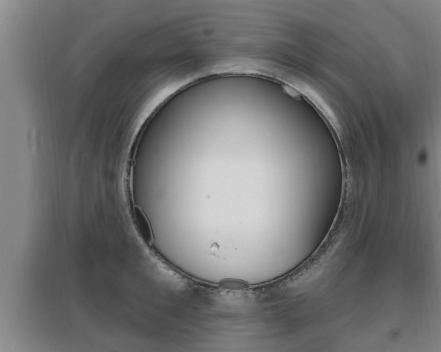 X0000095960901200801110943