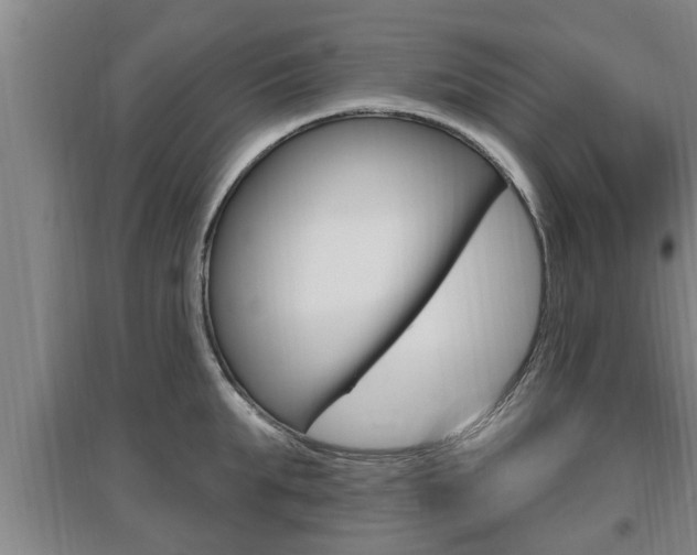 X0000095960903200801110943