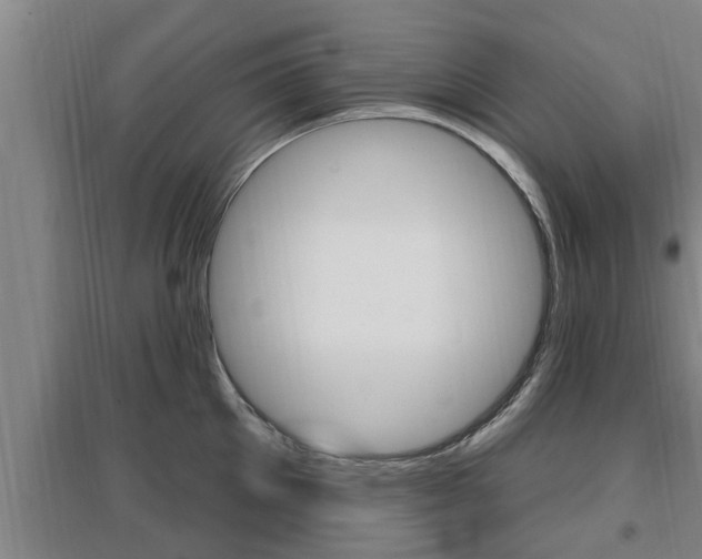 X0000095960905200801110943