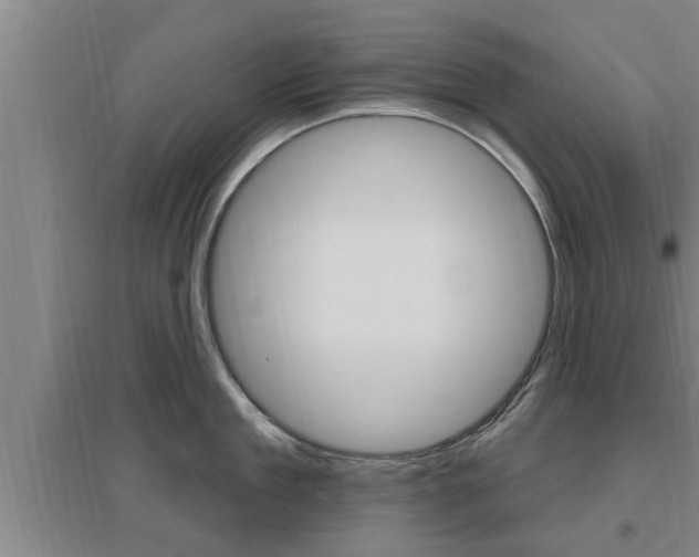 X0000095960909200801110943
