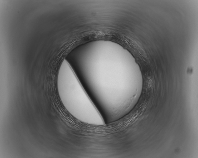 X0000095960914200801110942