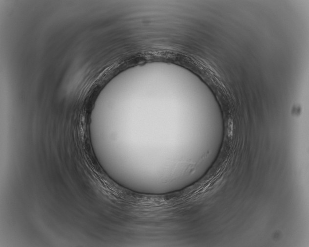 X0000095960915200801110942