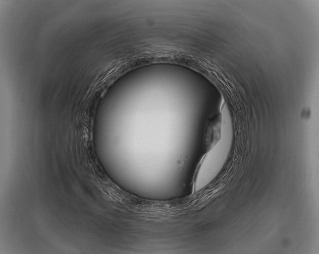 X0000095960916200801110942