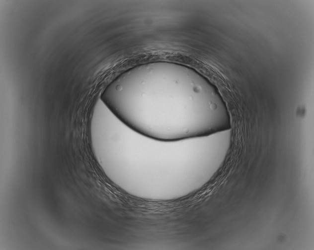 X0000095960917200801110942