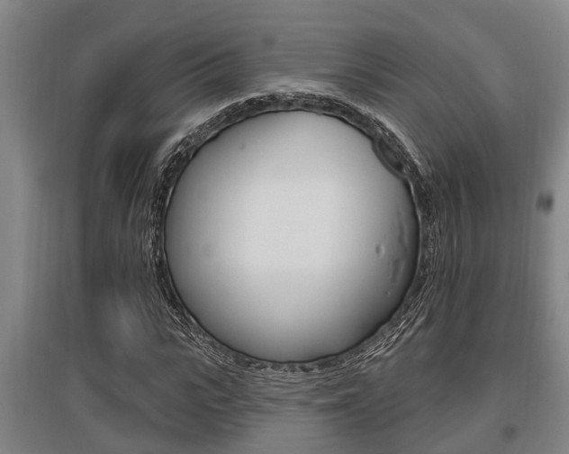 X0000095960919200801110942
