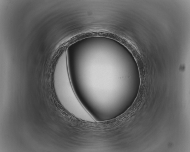 X0000095960920200801110942