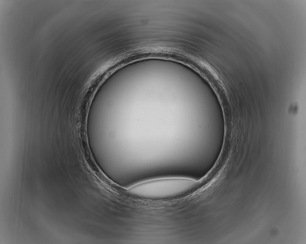 X0000095960922200801110942