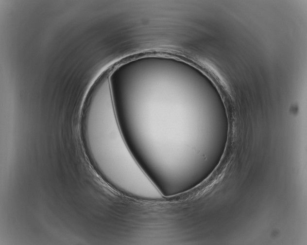 X0000095960924200801110942