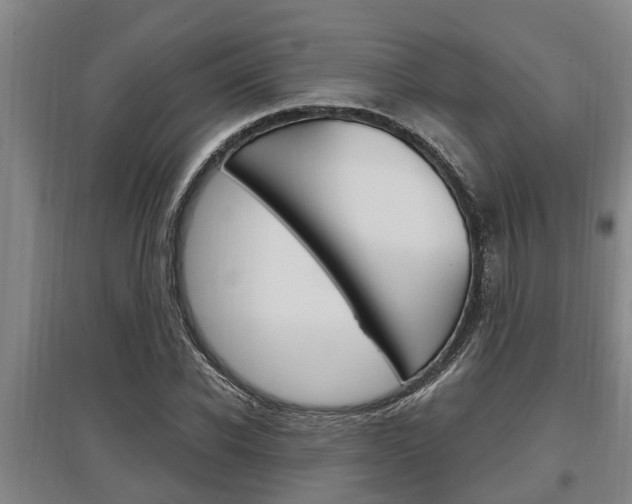 X0000095960926200801110942